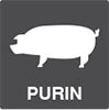 Purin